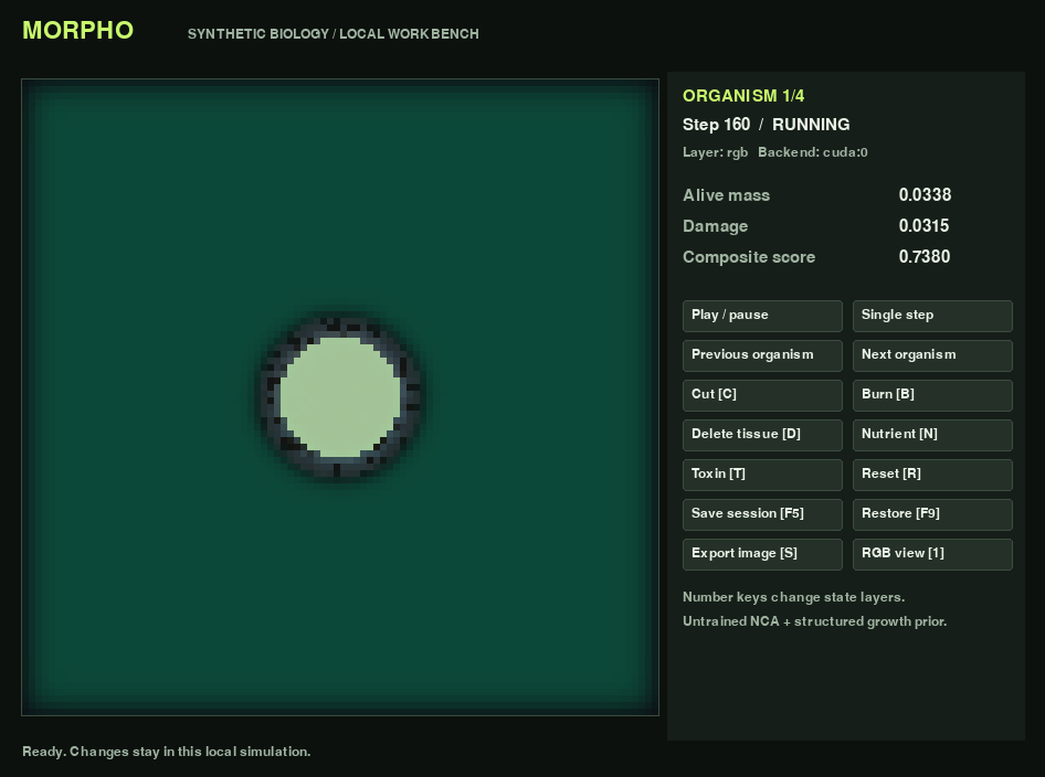 Actual Morpho workbench at step 160 showing a synthetic organism, live metrics, and intervention controls